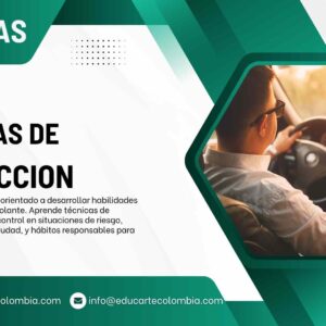 TÉCNICAS DE CONDUCCIÓN